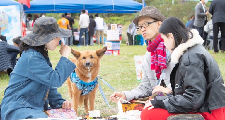 KakaoTalk_20220514_174257221_15